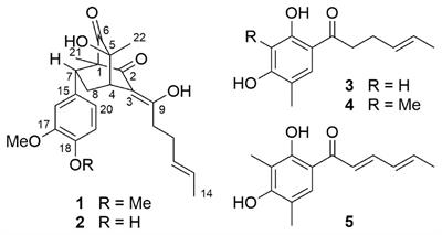 Antiproliferative Sorbicillinoids From the Deep-Sea-Derived Penicillium allii-sativi